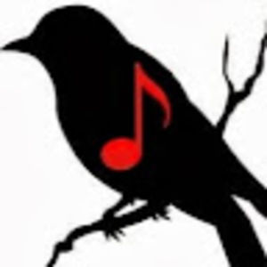 Meet your Posher, Benjamin